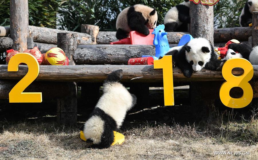 XINHUA PHOTO WEEKLY CHOICES (CN)