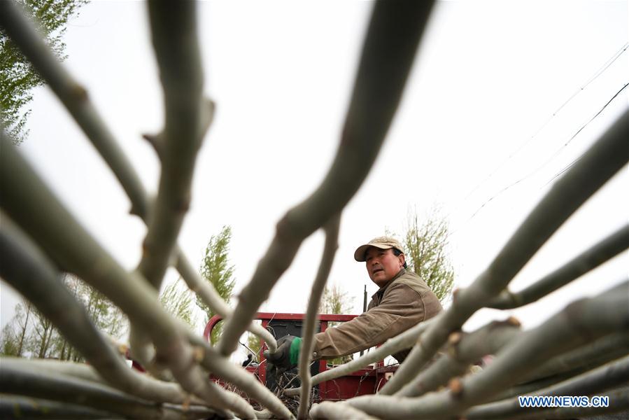 CHINA-GANSU-EARTH DAY-TREE PLANTING (CN)