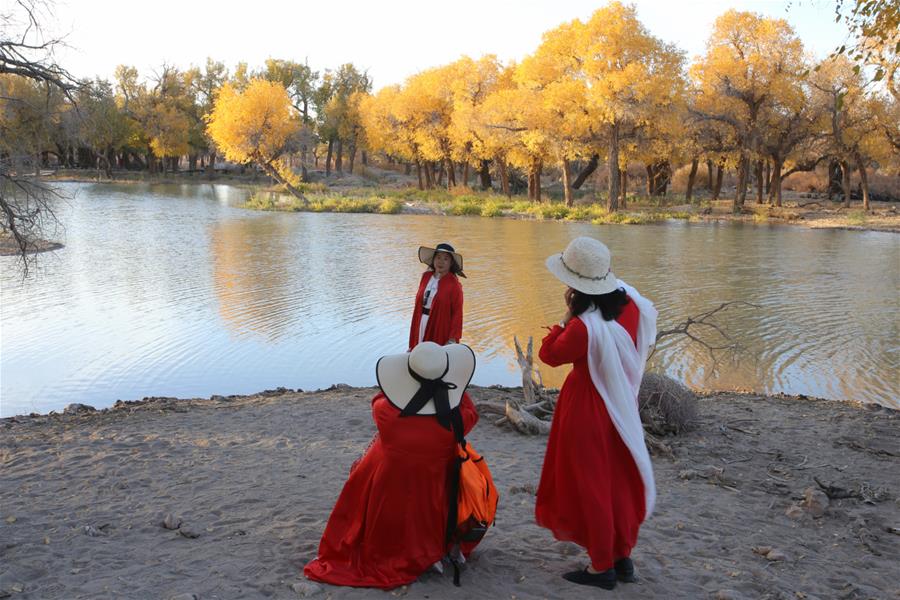 CHINA-INNER MONGOLIA-POPULUS EUPHRATICA-SCENERY (CN)