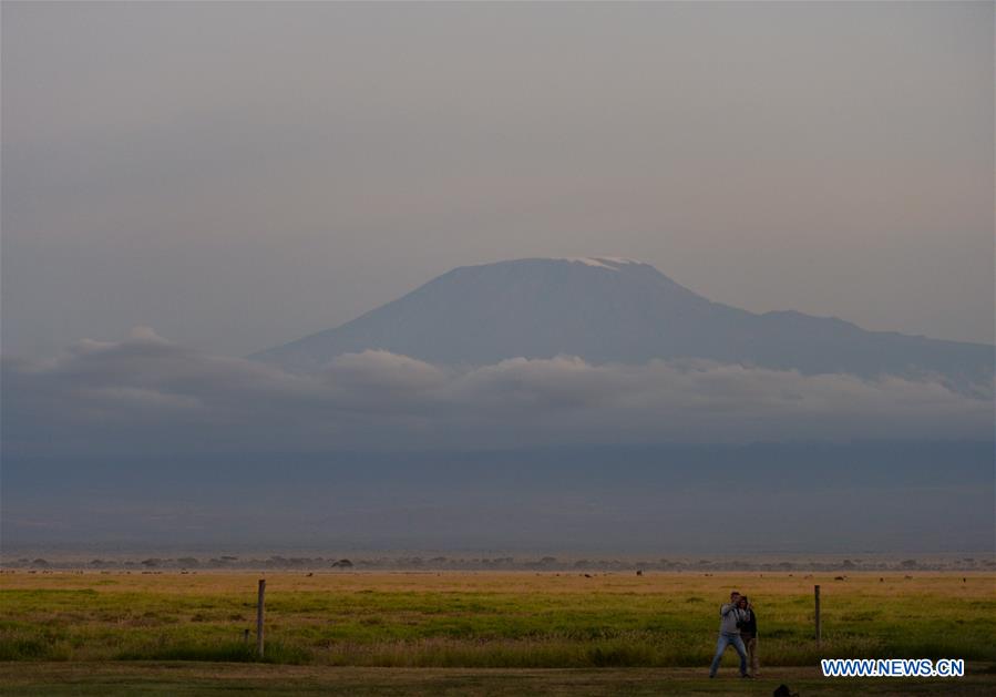 KENYA-AMBOSELI NATIONAL PARK-ANIMAL