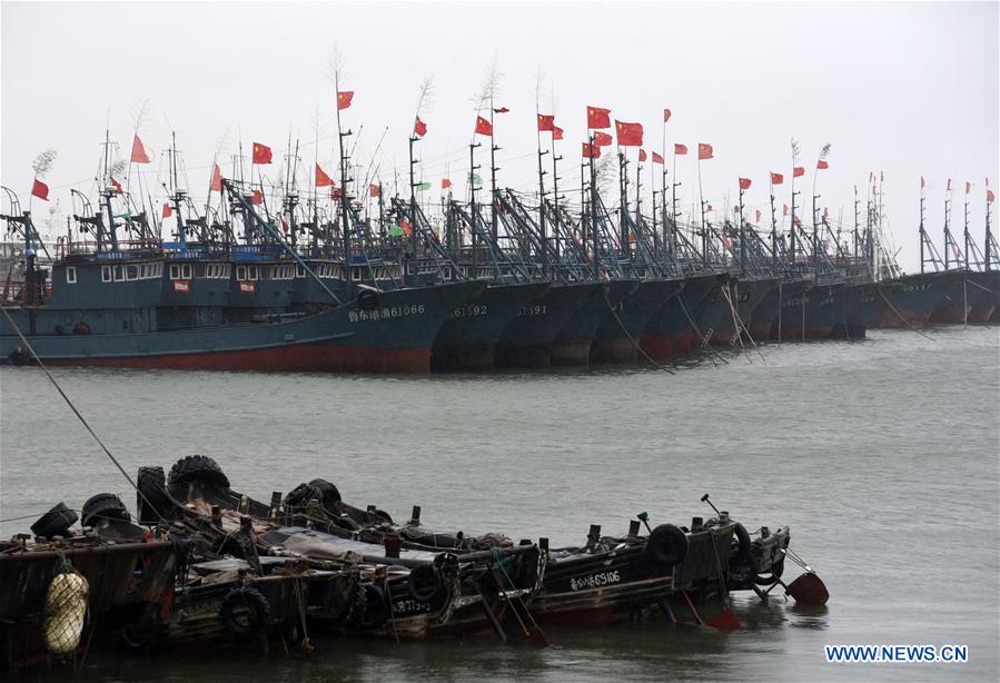 CHINA-SHANDONG-RIZHAO-TYPHOON-LEKIMA (CN)