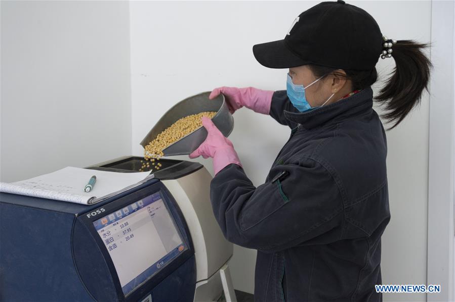 CHINA-HEILONGJIANG-HARBIN-AGRICULTURE-SOYBEAN-GRAIN PROCUREMENT (CN)
