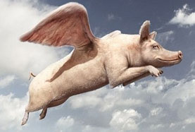 風(fēng)口上A股的十大&ldquo;飛豬&rdquo; 你抓住了幾頭