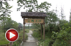 讓夢想照進(jìn)濕地