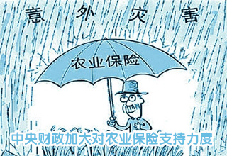 中央財政加大對農(nóng)業(yè)保險支持力度