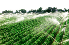 【4月3日】部署現(xiàn)代農(nóng)業(yè)配套改革試驗(yàn)工作