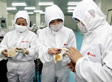 充滿(mǎn)現(xiàn)代氣息的車(chē)間