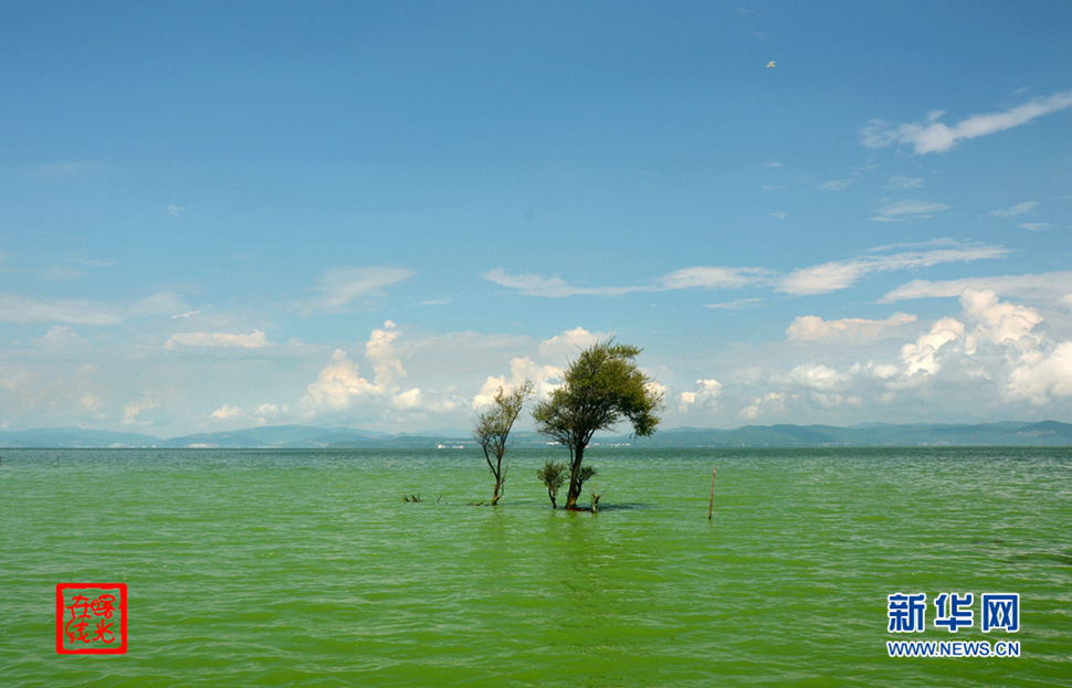 陽光昆明，爽爽的春城