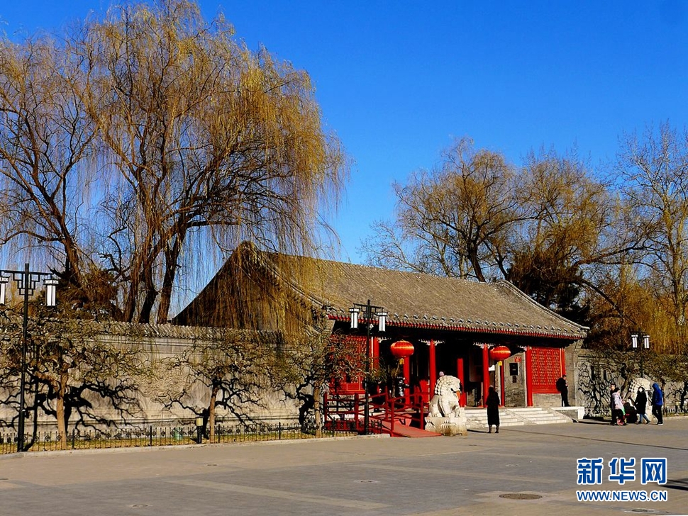 冬至，漫步大觀園