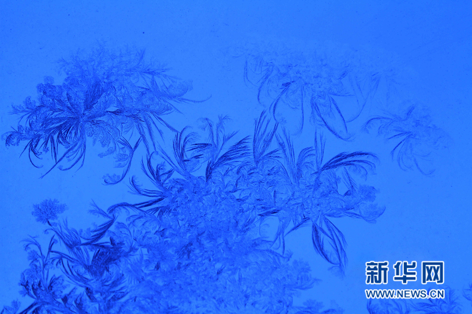 忽如一夜寒冬來，千家萬戶窗花開