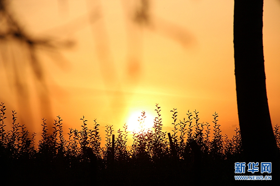 日落西山頭，人約黃昏后