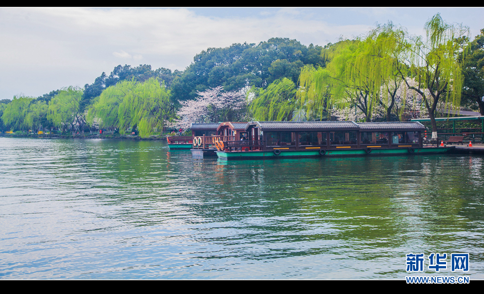 聽風(fēng)西湖柳，聞香龍井茶