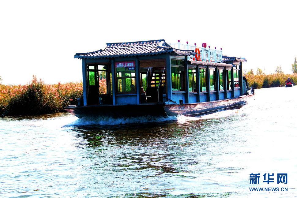 白洋淀風(fēng)光