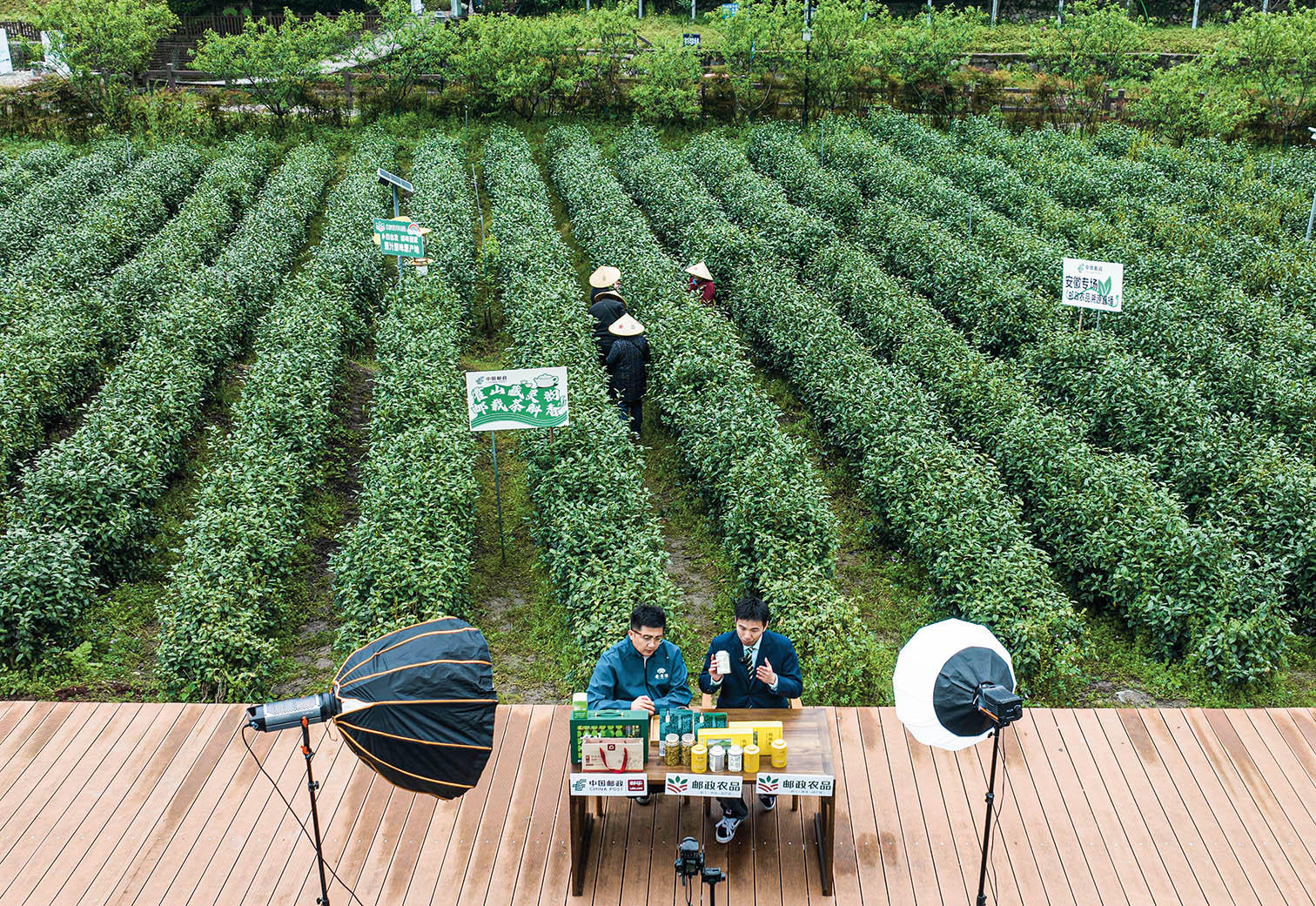 AI重塑中國茶出海全鏈路