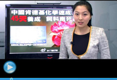 權(quán)威聲音：&ldquo;快時(shí)代&rdquo;究竟還有什么可以速成？