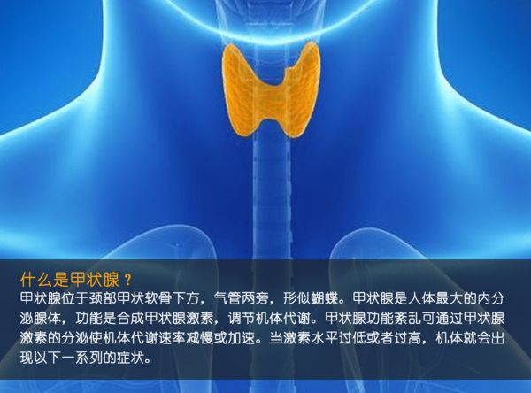 關(guān)注甲狀腺健康，你應(yīng)該知道的那些事