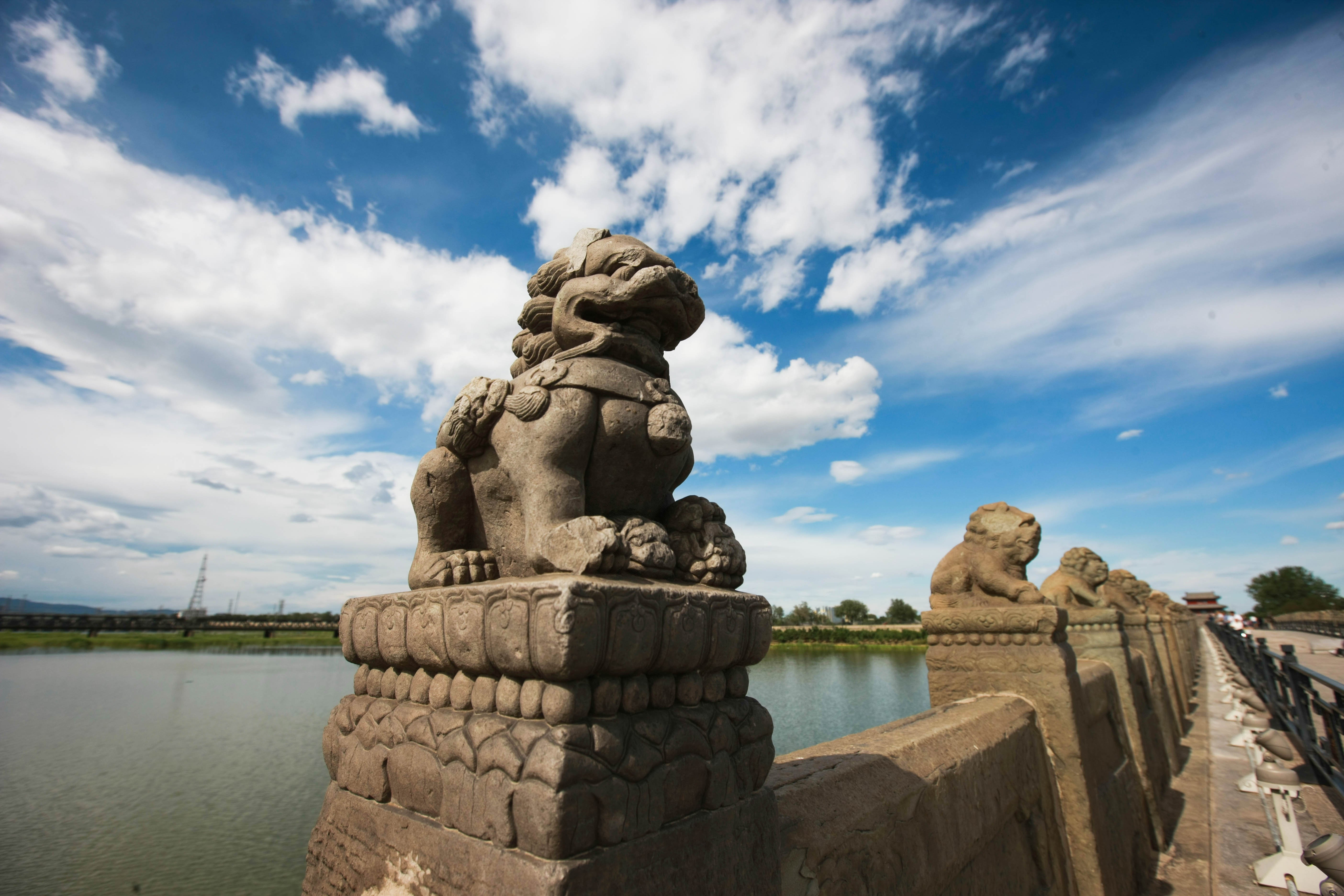 這些照片，來之不易