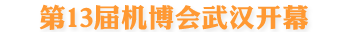 第13屆機博會武漢開幕