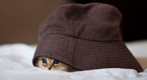 老外搞怪！facebook插圖欣賞(組圖)