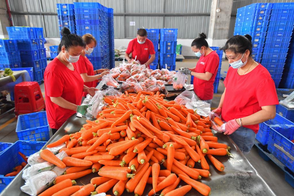 保障&ldquo;菜籃子&rdquo;貨足價(jià)穩(wěn)