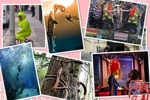 【奇趣周刊】女模與鯊魚(yú)共舞 &ldquo;肛門旅館&rdquo;亮相