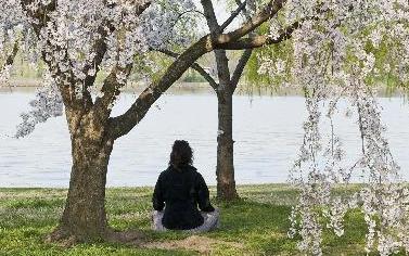 一周看點：奧巴馬敦促朝停止&ldquo;好戰(zhàn)做法&rdquo; H7N9病人轉為陰性