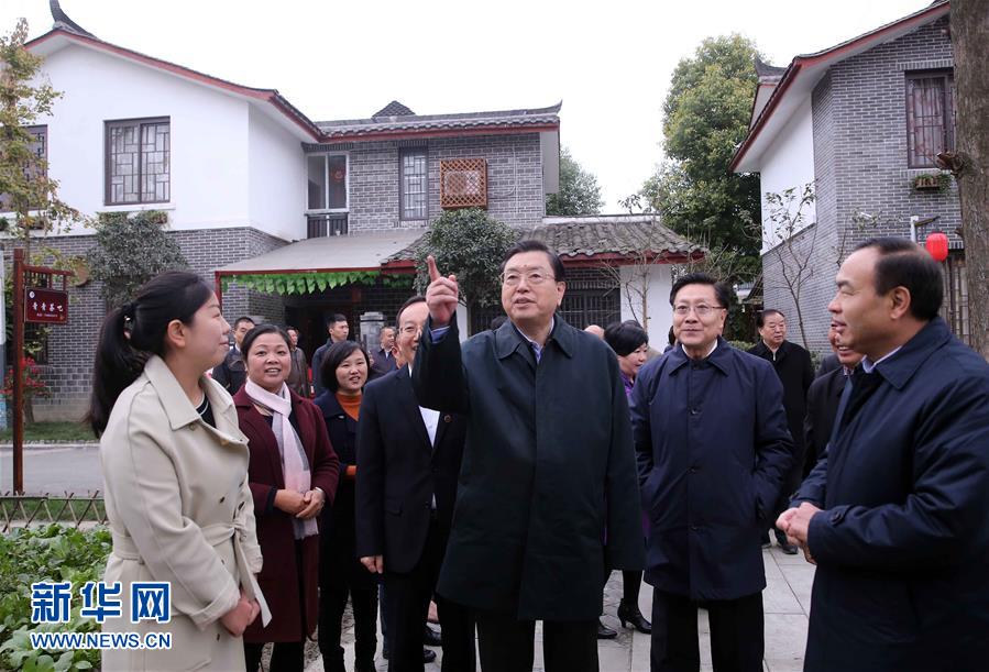 這是11月22日，張德江來到成都郫縣青杠樹村，了解村民委員會(huì)工作情況。 新華社記者 劉衛(wèi)兵 攝 