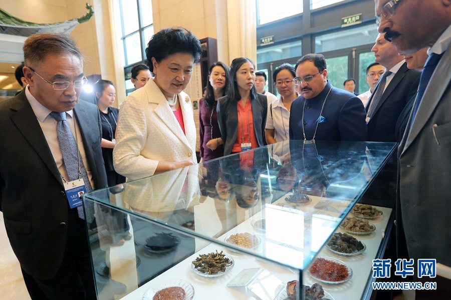 7月6日，金磚國家衛(wèi)生部長會暨傳統(tǒng)醫(yī)藥高級別會議在天津開幕。這是國務院副總理劉延東與外賓一起參觀傳統(tǒng)醫(yī)藥文化展。 新華社記者 張玉薇 攝