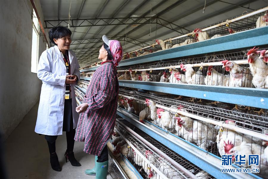 （十九大代表回基層&middot;圖文互動(dòng)）（1）擺脫貧困后，還應(yīng)有更高的精神追求&mdash;&mdash;十九大代表余留芬的&ldquo;宣講時(shí)光&rdquo;