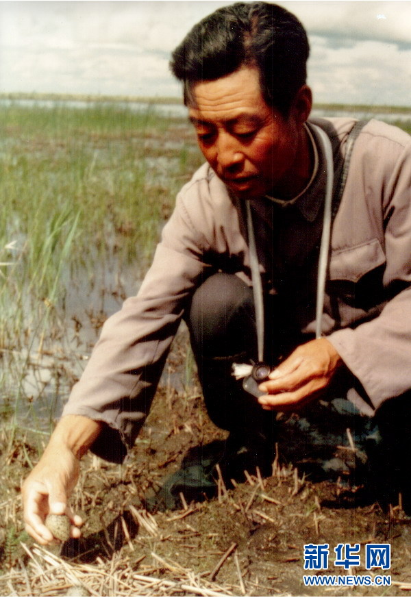 （圖文互動(dòng)&middot;新華全媒頭條）（4）一家人與一群鶴的生死相守