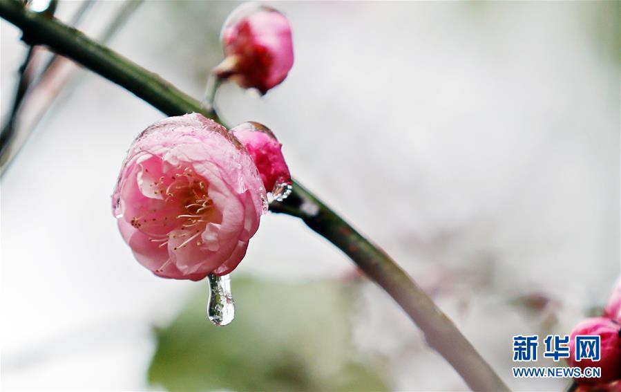 #（視&middot;覺）（3）猶有花枝俏