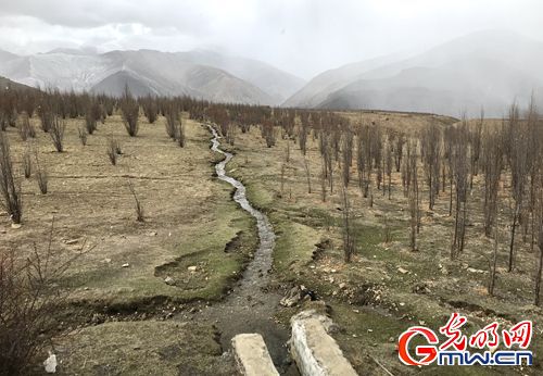 【新時(shí)代&middot;幸福美麗新邊疆】昔日紅色精神流入血脈 今朝邊疆處處開遍幸福花