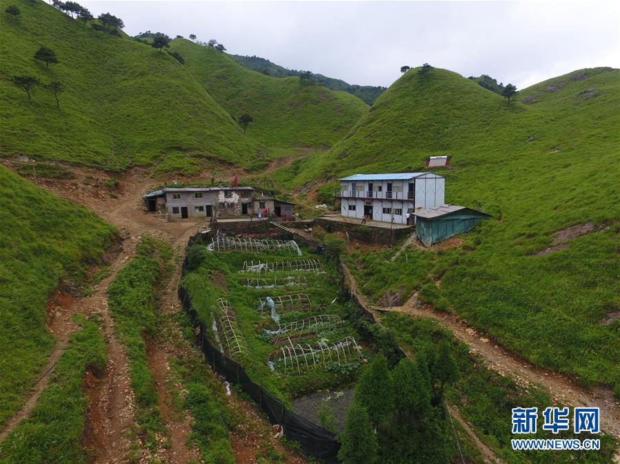（新華全媒頭條&middot;圖文互動）（3）一個人，一座山&mdash;&mdash;劉真茂的生命守望