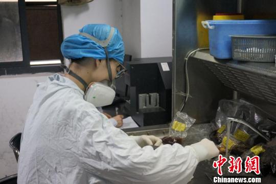 走進病理科醫(yī)生:爭分奪秒“戰(zhàn)斗”的醫(yī)院“法官”