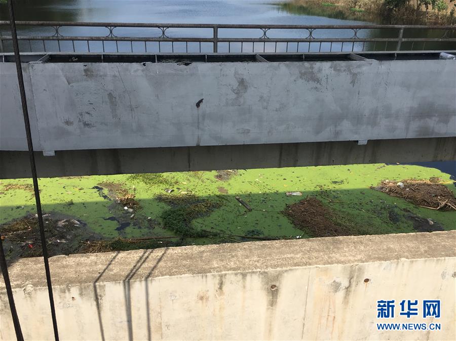 （新華視點(diǎn)&middot;圖文互動(dòng)）（2）上游洪水來襲下游魚蟹死亡，泄洪為何變泄污？