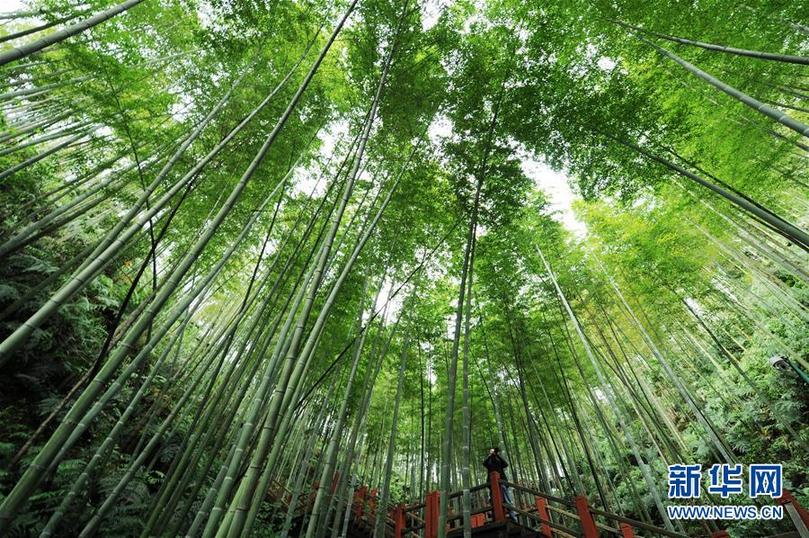 (新華全媒頭條·圖文互動)(5)山鄉(xiāng)巨變——來自貴州扶貧一線的報告