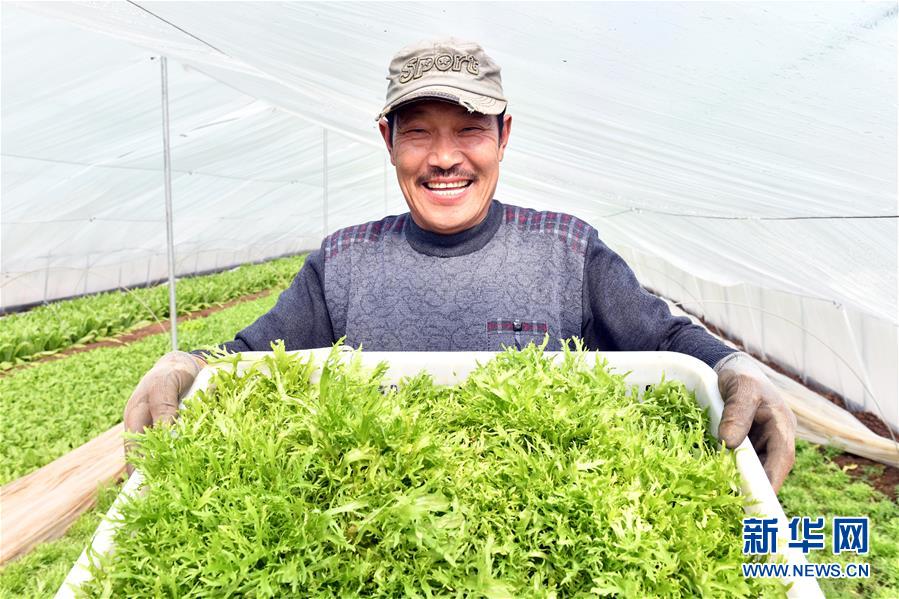 （兩會前夕看落實&middot;圖文互動）（3）融合&ldquo;三生三美&rdquo; 打造鄉(xiāng)村振興齊魯樣板&mdash;&mdash;山東落實習(xí)近平總書記全國兩會重要講話精神紀(jì)實