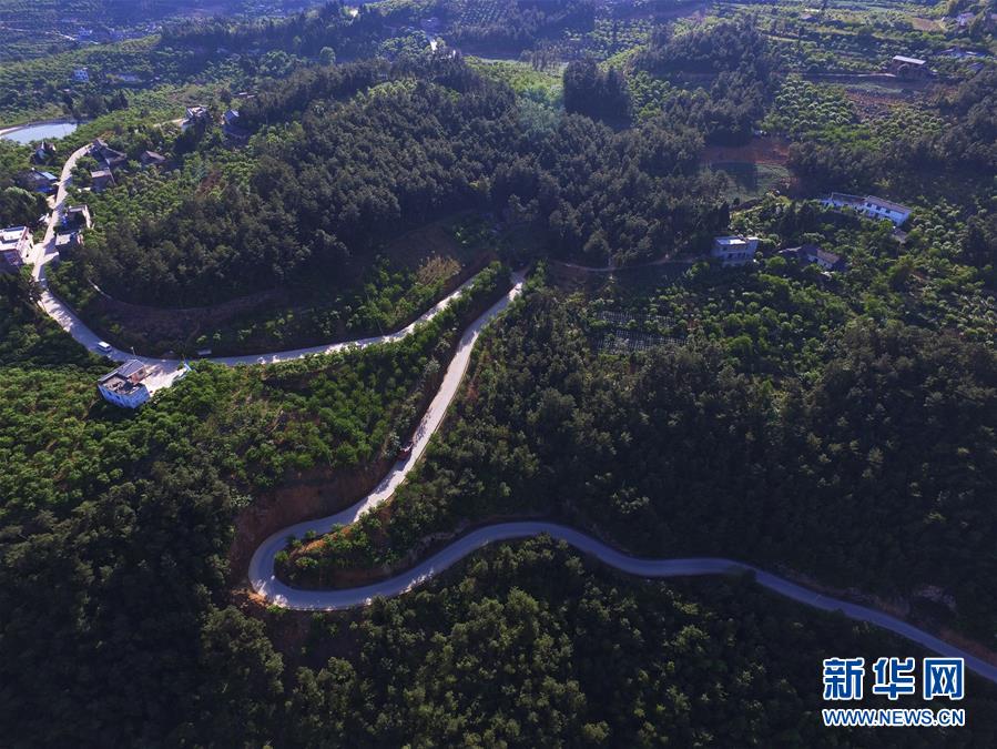 （在習(xí)近平新時(shí)代中國特色社會(huì)主義思想指引下&mdash;&mdash;新時(shí)代新作為新篇章）（13）重慶巫山：&ldquo;生態(tài)寶貝&rdquo;變身&ldquo;搖錢樹&rdquo;