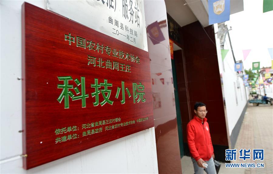 (新華全媒頭條·愛國情 奮斗者·圖文互動)(11)把論文寫在祖國的大地上——中國農業(yè)大學46年扎根河北曲周服務鄉(xiāng)村振興紀實