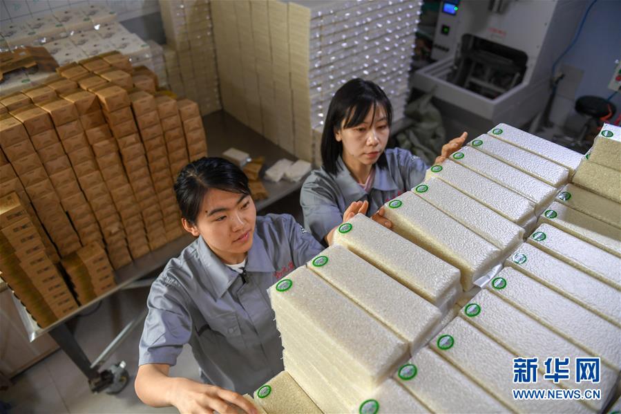 （在習(xí)近平新時(shí)代中國(guó)特色社會(huì)主義思想指引下&mdash;&mdash;新時(shí)代新作為新篇章&middot;圖文互動(dòng)）（7）大學(xué)生種田讓農(nóng)民&ldquo;老把式&rdquo;開了眼&mdash;&mdash;吉林長(zhǎng)白山下的稻田新事