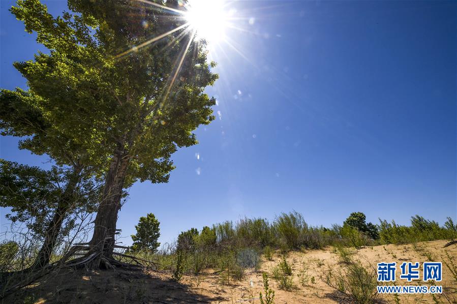 （新華全媒頭條&middot;壯麗70年&middot;奮斗新時(shí)代&middot;圖文互動(dòng)）（5）中國(guó)減貧的西海固報(bào)告