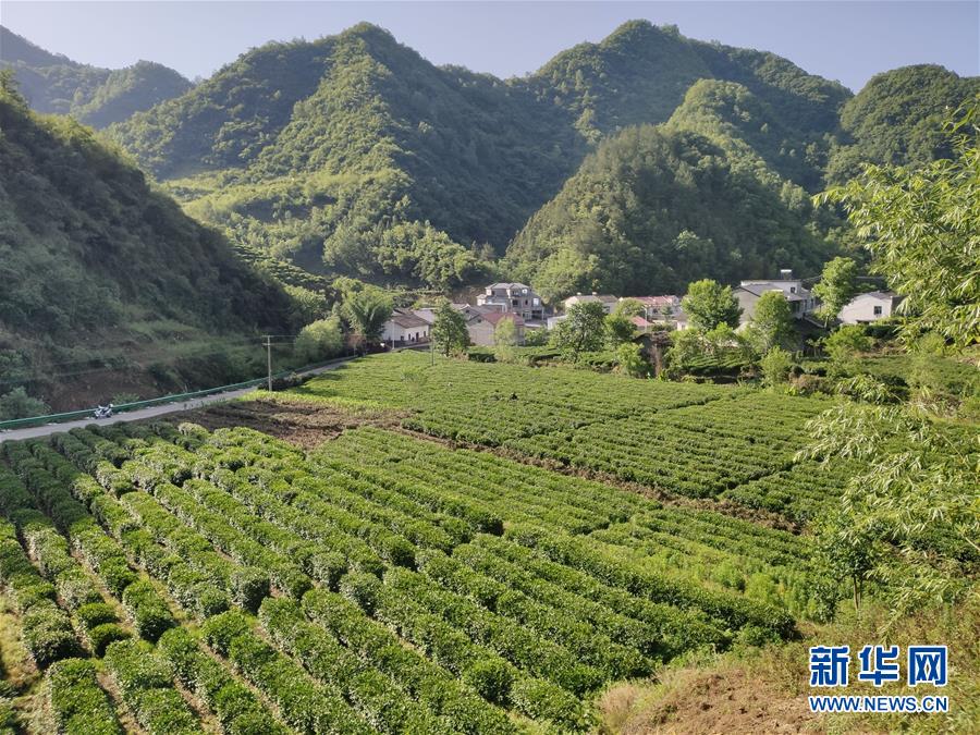 （圖文互動）（1）漢江畔崛起生態(tài)城&mdash;&mdash;來自南水北調(diào)中線核心水源地的調(diào)查報告