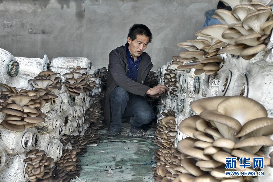 (脫貧攻堅·圖文互動)(3)東達村脫貧記