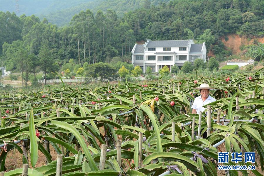 （在習(xí)近平新時代中國特色社會主義思想指引下&mdash;&mdash;新時代新作為新篇章&middot;總書記關(guān)心的百姓身邊事&middot;圖文互動）（6）大污染變身&ldquo;大寶藏&rdquo;：治理畜禽糞污，他們這樣干！