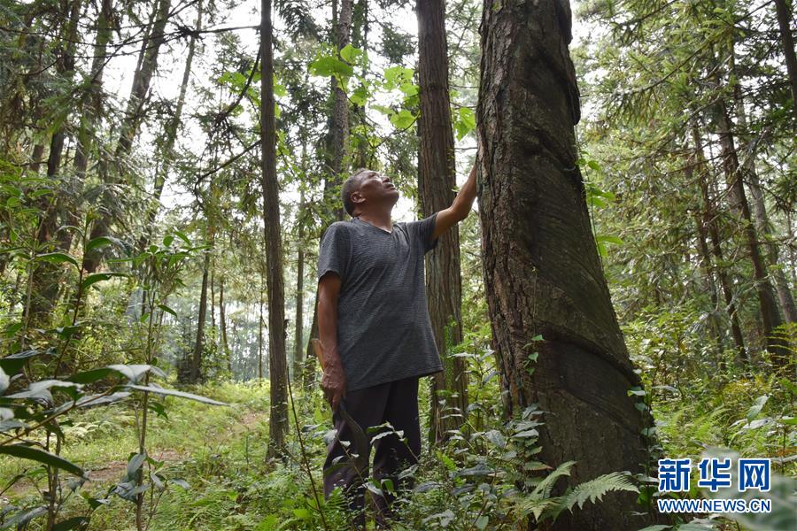 （愛(ài)國(guó)情 奮斗者&middot;圖文互動(dòng)）（3）貴州印江高石坎護(hù)林隊(duì)：半輩子，以林場(chǎng)為家
