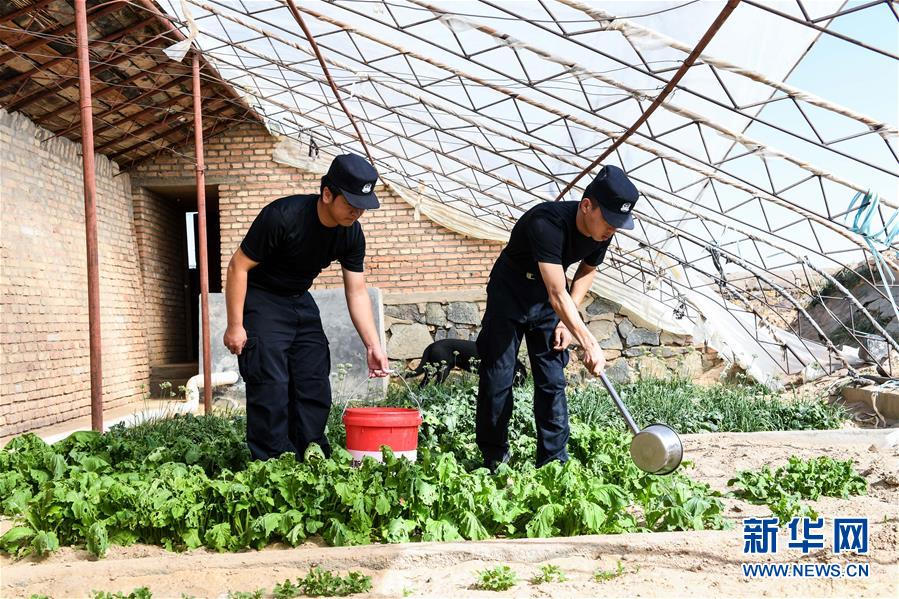 （愛國情 奮斗者&middot;圖文互動）（5）印刻在戈壁上的名字