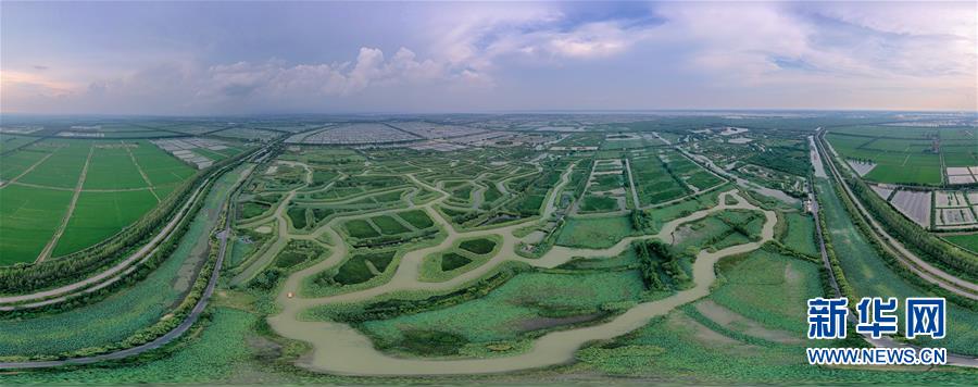 （新華全媒頭條&middot;圖文互動(dòng)）（11）大湖見證&mdash;&mdash;長三角三大淡水湖綠色發(fā)展之路