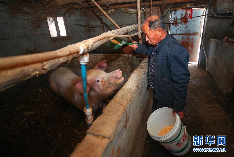 (新春走基層·圖文互動)(2)“終于有人敢登門給兒子提親了”——張景富脫貧記