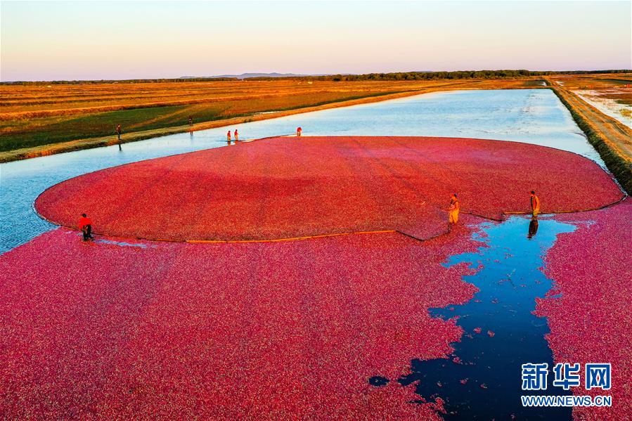 （圖文互動）（9）從&ldquo;輕工漁網(wǎng)重工馬掌&rdquo;到&ldquo;圓夢小康&rdquo;&mdash;&mdash;&ldquo;中國東極&rdquo;脫貧攻堅(jiān)剪影