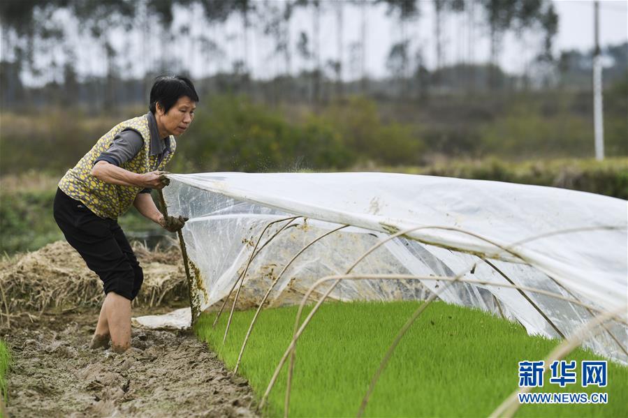 （圖文互動）（2）&ldquo;早一天復(fù)工，損失就少一點(diǎn)&rdquo;&mdash;&mdash;廣西以精準(zhǔn)防控推動復(fù)工復(fù)產(chǎn)一線見聞